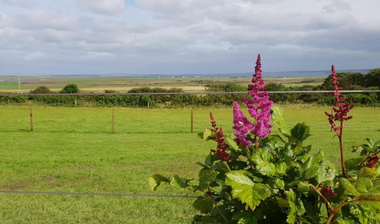 Lilly'S Lodges Orkney Hedgehog Lodge Finstown Екстериор снимка