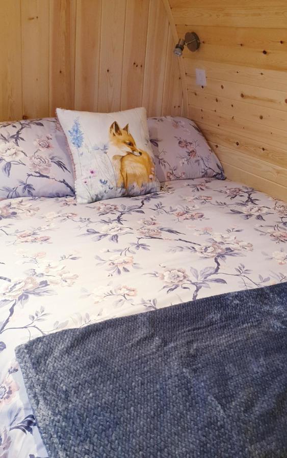 Lilly'S Lodges Orkney Hedgehog Lodge Finstown Екстериор снимка